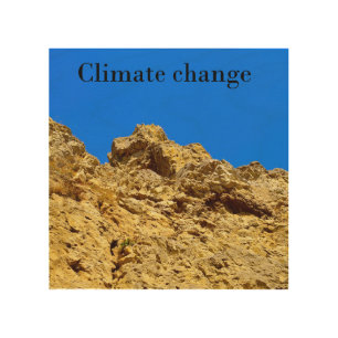 Climate Change look after the environment Wood Wall Art