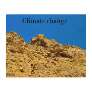 Climate Change look after the environment Wood Wall Art