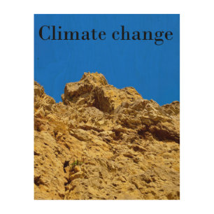 Climate Change look after the environment Wood Wall Art