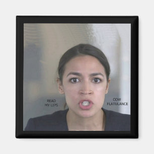 CLIMATE CHANGE MAGNET