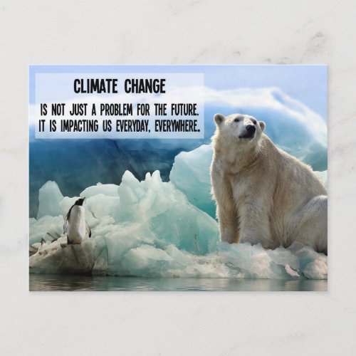 Climate change with polar bear penguin postcard