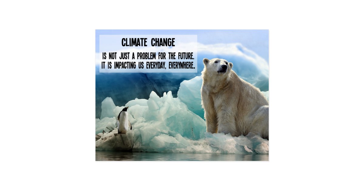Climate change with polar bear penguin postcard | Zazzle.com