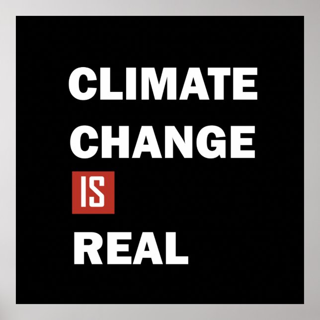 Climate chenge is real environmental awarness poster (Front)