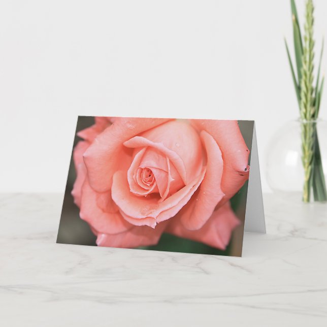 Climbing America Rose Note Card (Front)