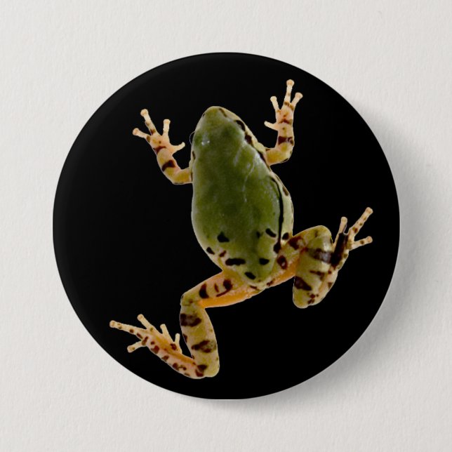 Climbing Arizona Tree Frog Photograph Button (Front)