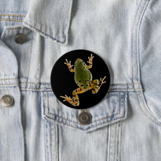Climbing Arizona Tree Frog Photograph Button