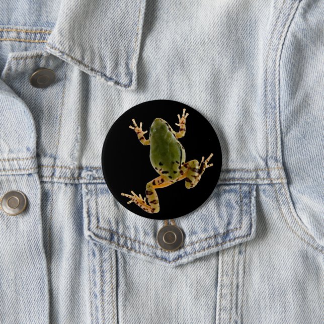 Climbing Arizona Tree Frog Photograph Button (In Situ)
