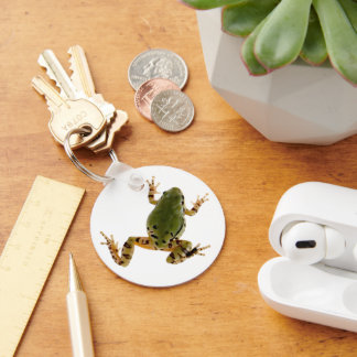 Climbing Arizona Tree Frog Photograph Over White Keychain