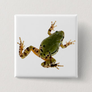 Climbing Arizona Tree Frog Photograph Pinback Button