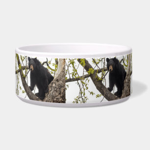 Climbing Black Bear Bowl
