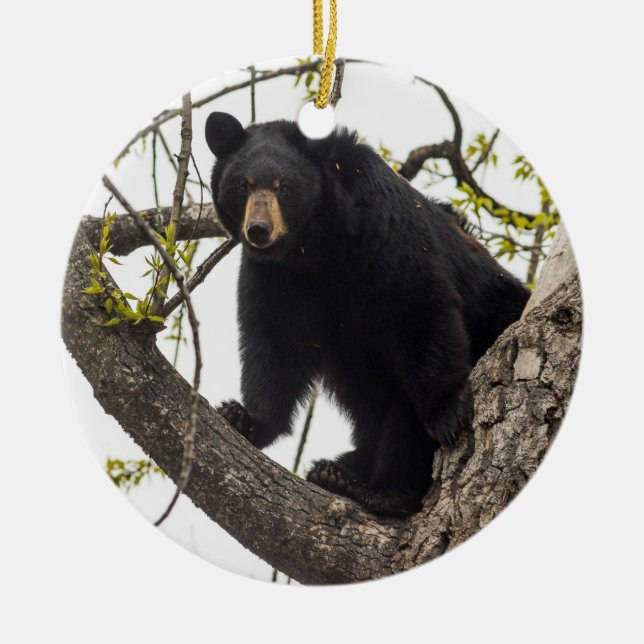 Climbing Black Bear Ceramic Ornament (Front)