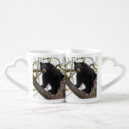Climbing Black Bear Coffee Mug Set