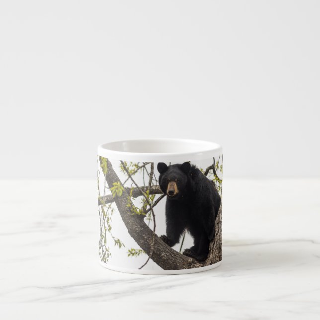 Climbing Black Bear Espresso Cup (Front)