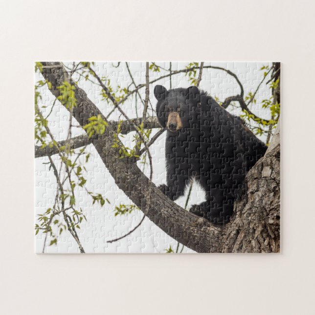 Climbing Black Bear Jigsaw Puzzle (Horizontal)