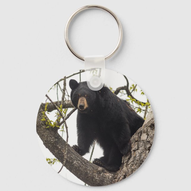 Climbing Black Bear Keychain (Front)