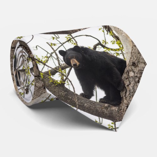 Climbing Black Bear Neck Tie