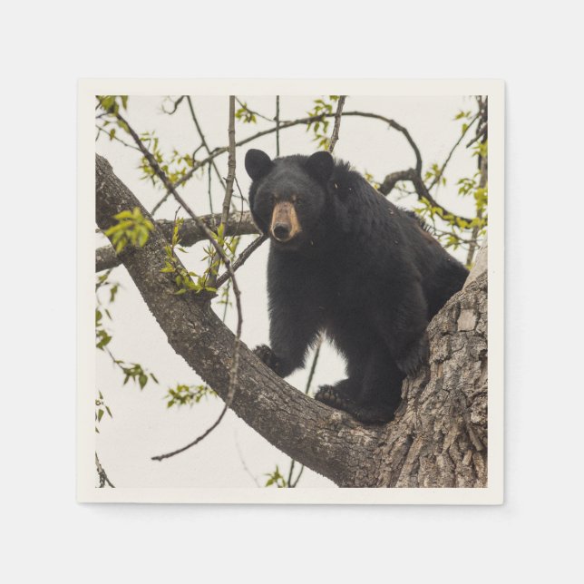 Climbing Black Bear Paper Napkins (Front)