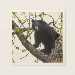 Climbing Black Bear Paper Napkins