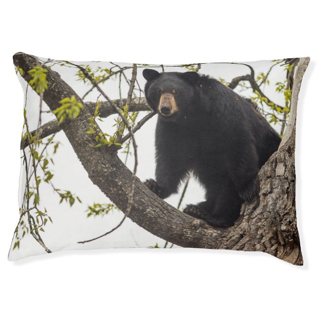 Climbing Black Bear Pet Bed (Front)