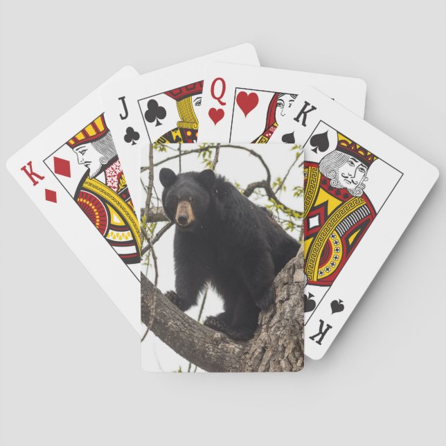 Climbing Black Bear Poker Cards (Back)