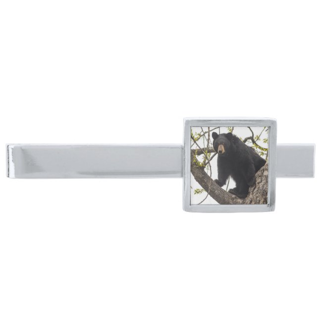 Climbing Black Bear Silver Finish Tie Bar (Front)