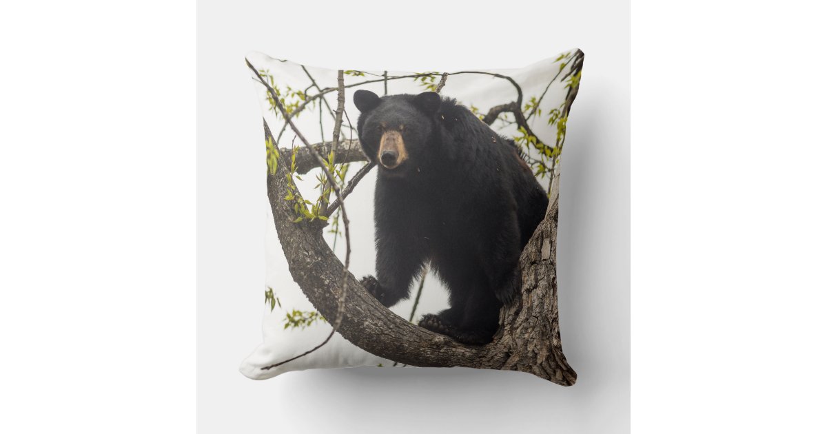 Climbing Black Bear Throw Pillow Zazzle