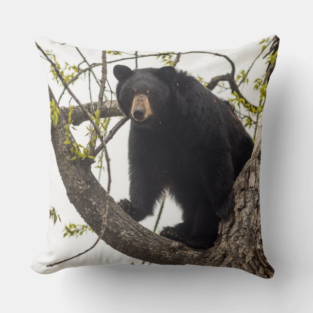 Climbing Black Bear Throw Pillow (Front)