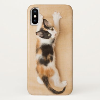 Climbing Calico Kitten iPhone X Case