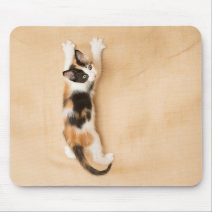 Climbing Calico Kitten Mouse Pad