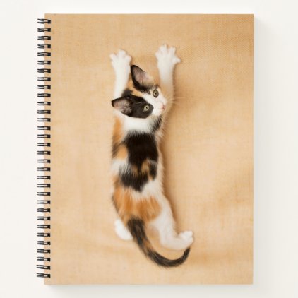 Climbing Calico Kitten Notebook