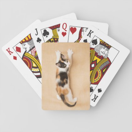 Climbing Calico Kitten Playing Cards