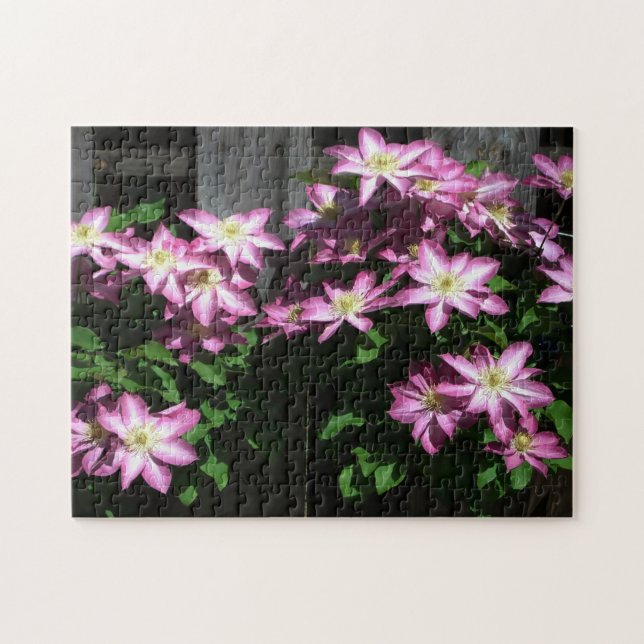 Climbing Clematis Purple Spring Flowers Jigsaw Puzzle (Horizontal)