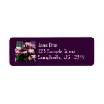 Climbing Clematis Purple Spring Flowers Label