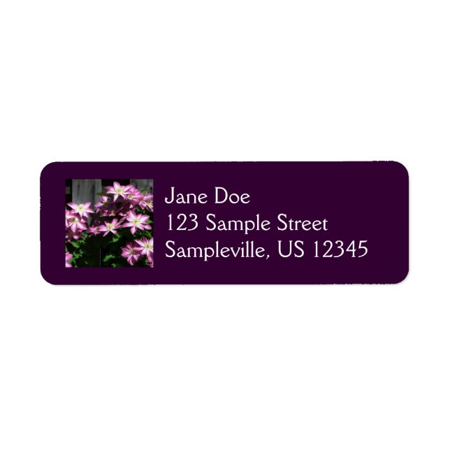 Climbing Clematis Purple Spring Flowers Label (Front)