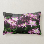 Climbing Clematis Purple Spring Flowers Lumbar Pillow
