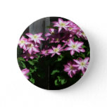 Climbing Clematis Purple Spring Flowers Pinback Button