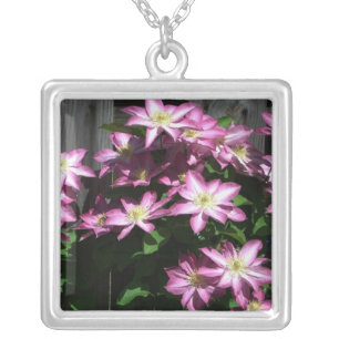Climbing Clematis Purple Spring Flowers Silver Plated Necklace