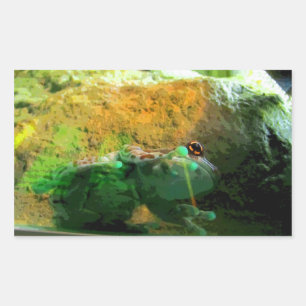 Climbing Frog CB Rectangular Sticker
