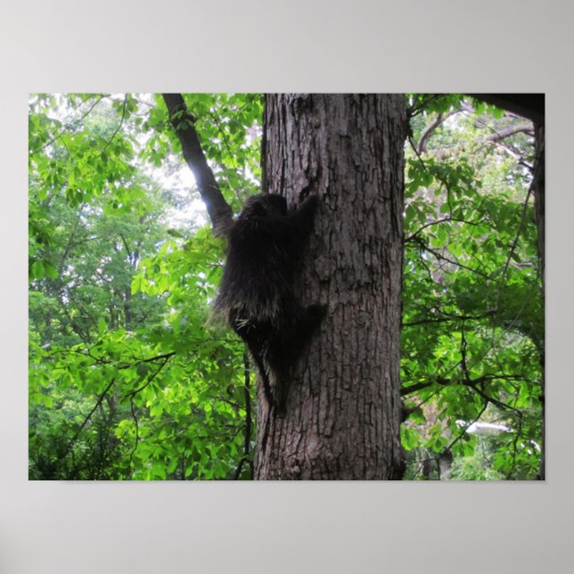 Climbing High Poster (Front)