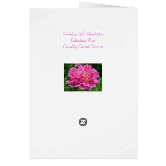 Climbing Rose Coordinating Items (Back)