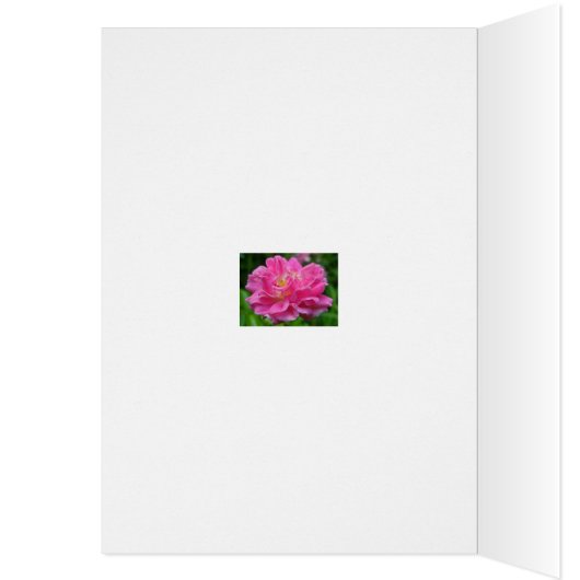 Climbing Rose Coordinating Items (Inside (Left))