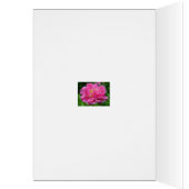 Climbing Rose Coordinating Items Cards (Inside (Left))