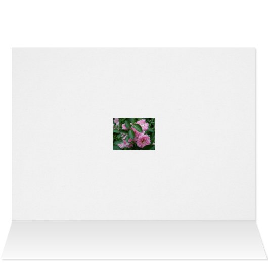 Climbing Rose Welcome to Neighborhood Card (Inside Horizontal (Top))