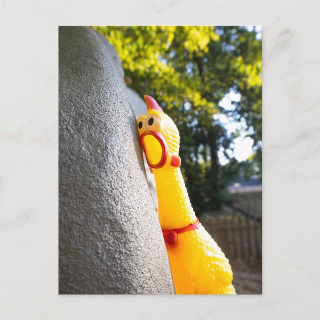 Climbing Rubber Chicken Postcard (Front)