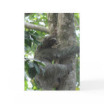 Climbing Sloth Greeting Card