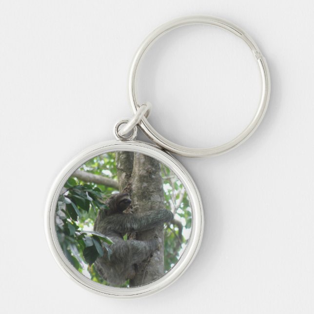Climbing Sloth Keychain (Front)