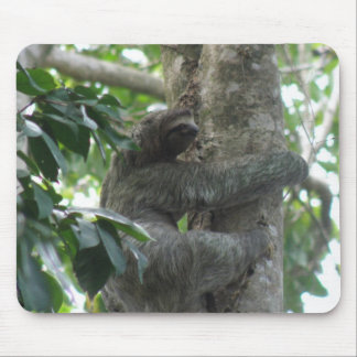 Climbing Sloth Mouse Pad
