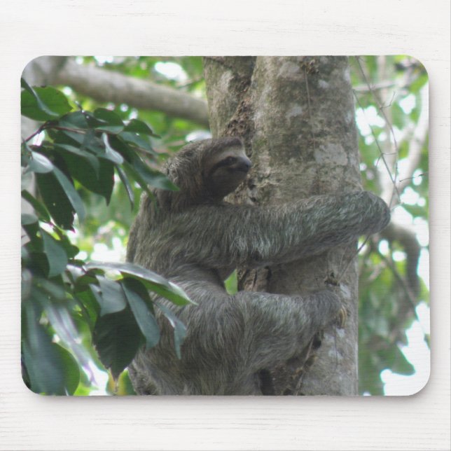 Climbing Sloth Mouse Pad (Front)