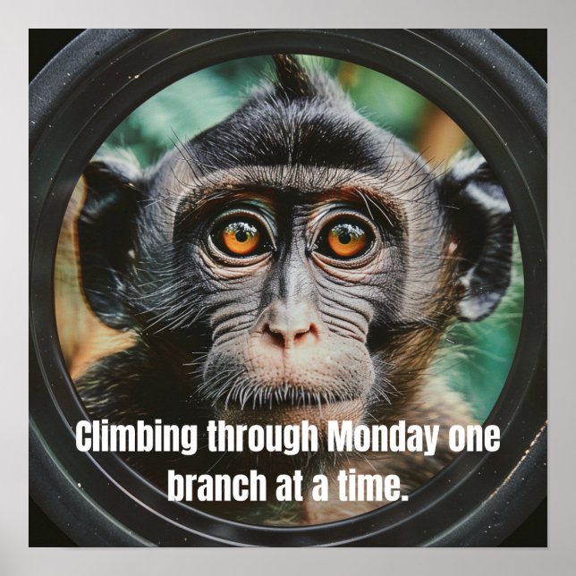 Climbing through Monday one branch at a time Poster (Front)