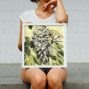 Climbing Windblown Wisteria Vine Acrylic Painting Poster